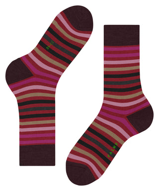 Socken Tinted Stripe