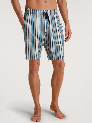 HERREN Bermudas, cascade blue