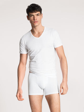 New Boxer mit langem Bein