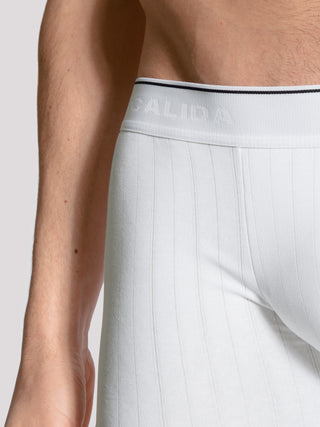 New Boxer mit langem Bein
