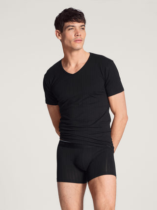New Boxer mit langem Bein