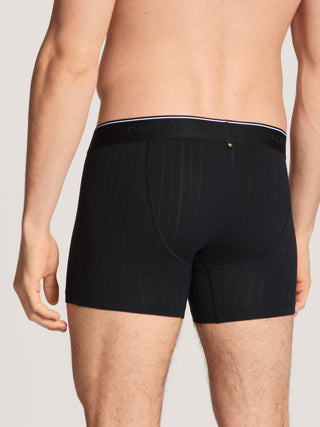 New Boxer mit langem Bein