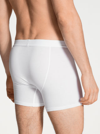 New Boxer, Komfortbund mit Eingriff