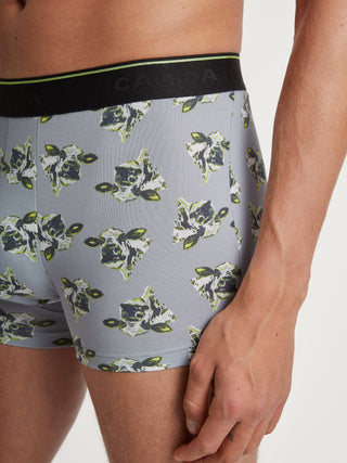 HERREN Boxer, sleet grey