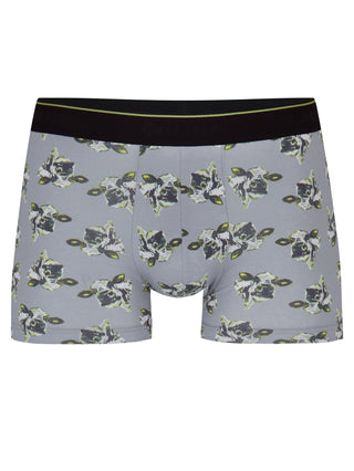 HERREN Boxer, sleet grey