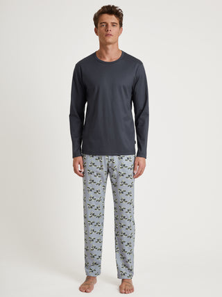 HERREN Hose, sleet grey