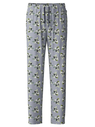 HERREN Hose, sleet grey