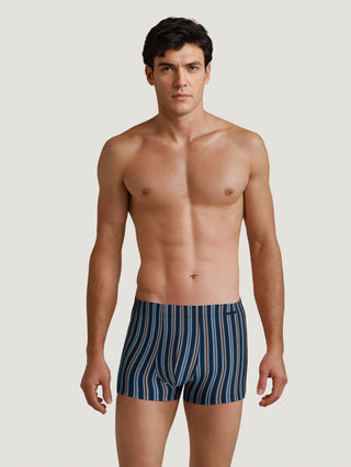 HERREN Boxer, dark night