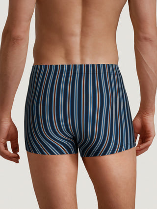 HERREN Boxer, dark night