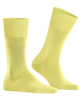 FALKE ClimaWool Herren