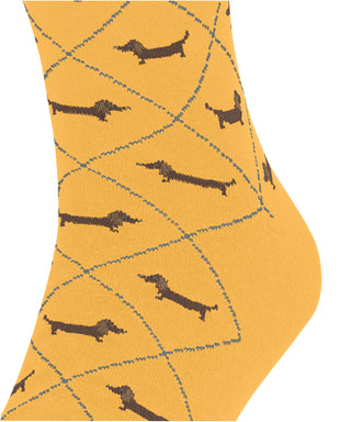 Burlington Dachshund Herren