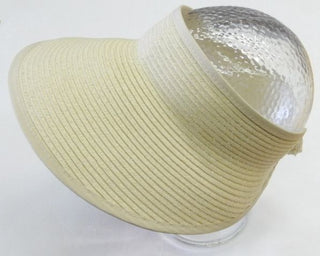 Visor
