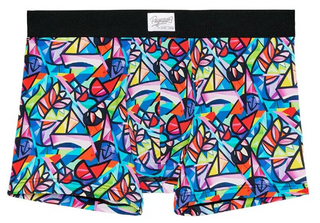 Boxer Briefs, multico print