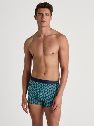 HERREN Boxer, philo green