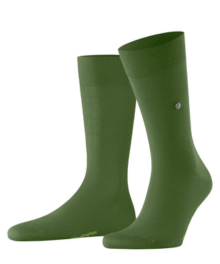 Burlington Brit Style Herren