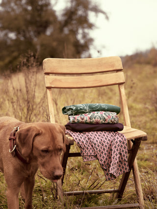 WOMEN Shirt short-sleeve