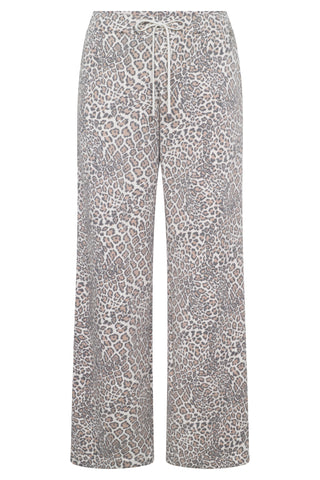 Pants 3251284