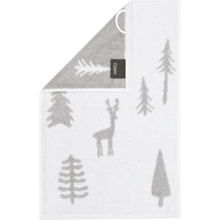 Tannen Winter Edition