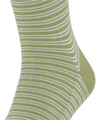 FALKE Family Special Edition Herren