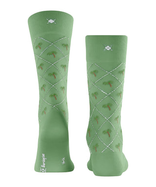 Burlington Palm Tree Herren