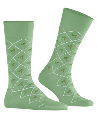 Burlington Palm Tree Herren