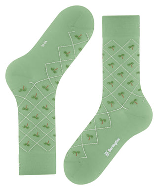 Burlington Palm Tree Herren