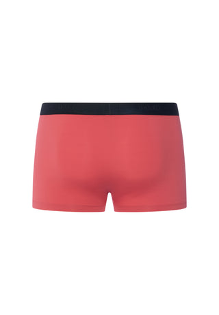 Micro Touch Panty