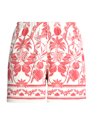 WOMEN Shorts