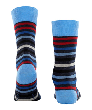 FALKE Tinted Stripe Herren
