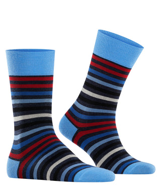 FALKE Tinted Stripe Herren