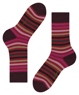 FALKE Tinted Stripe Herren