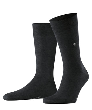 Burlington Lord Herren
