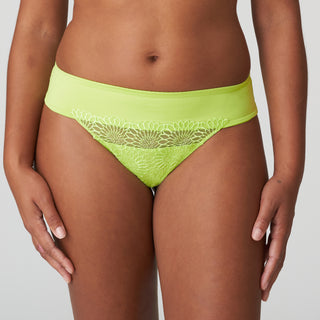 SOPHORA  String