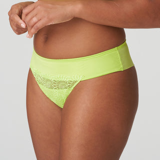 SOPHORA  String