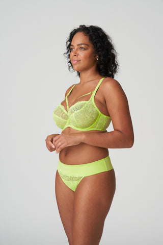 SOPHORA  String