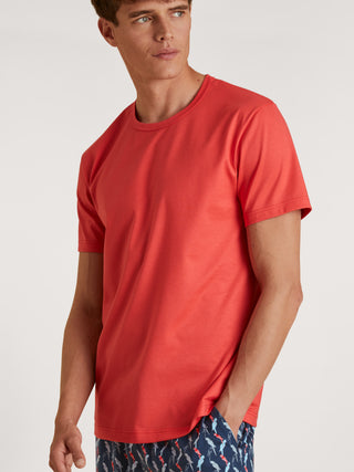 HERREN T-Shirt, cayenne Red