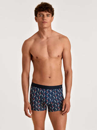 HERREN Boxer, ultimate grey
