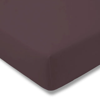 ESTELLA Spannbetttuch Zwirnjersey