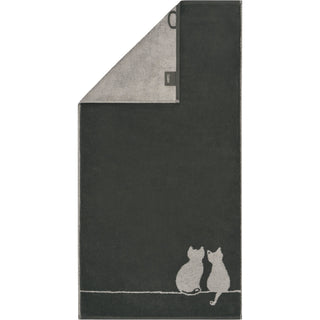 Cute Cats