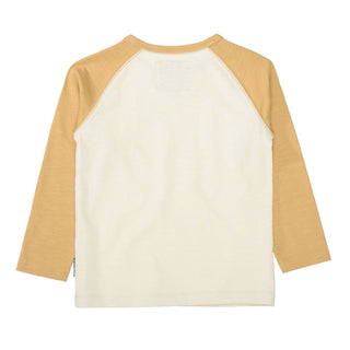 Long sleeve shirt with raglan sleeves