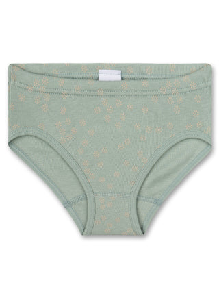 briefs