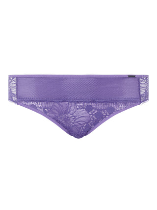 DAY TO NIGHT briefs, evolutionary