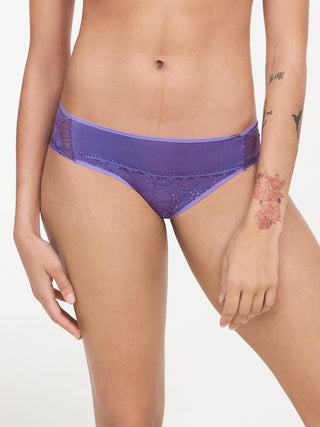 DAY TO NIGHT briefs, evolutionary
