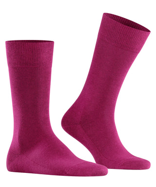 Socks Family