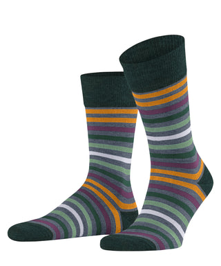 Socks tinted stripe