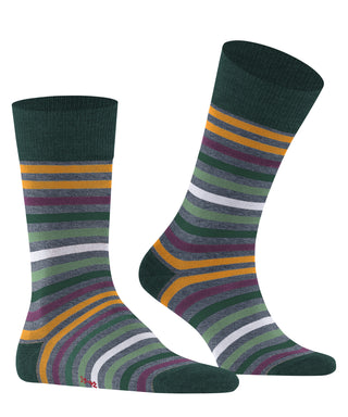 Socks tinted stripe
