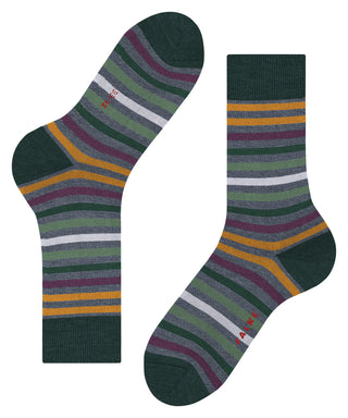 Socks tinted stripe