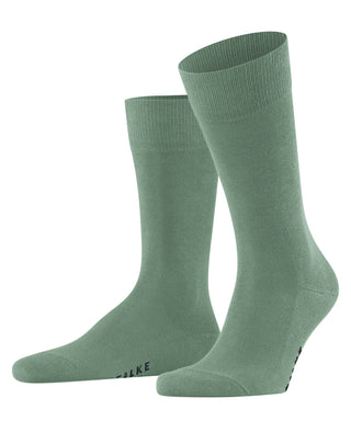 Socks Family