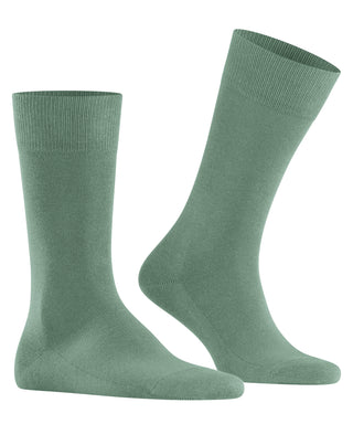 Socks Family