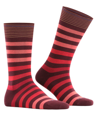 Socken Blackpool